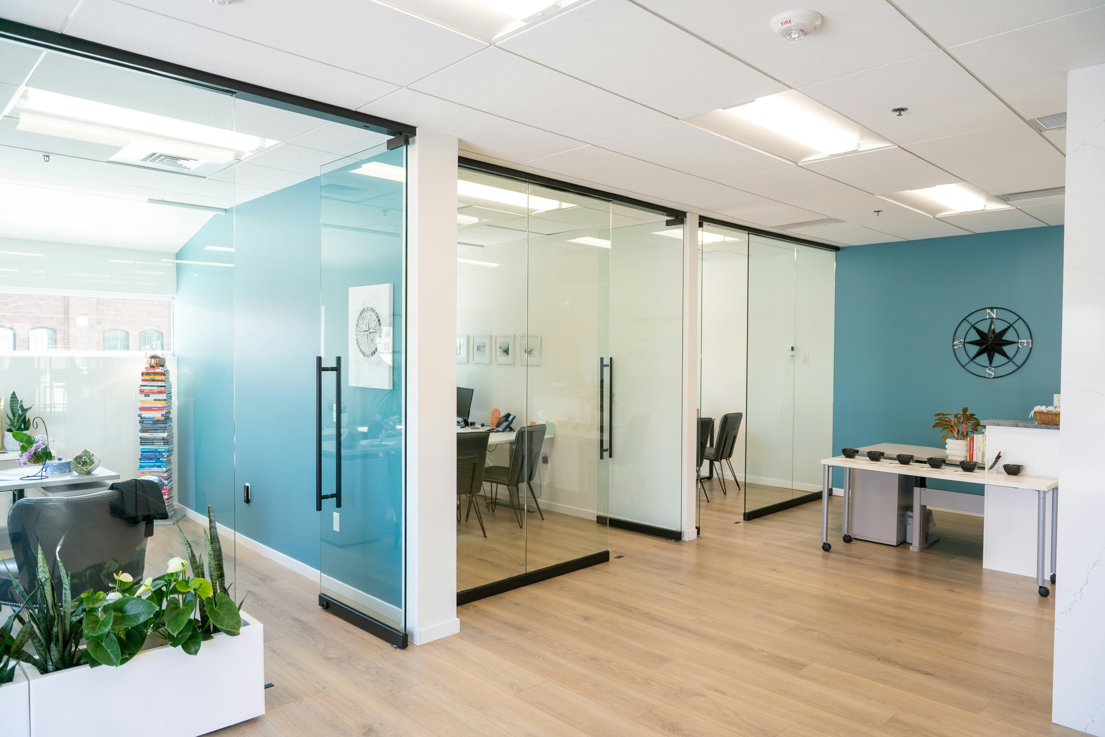 Contemporary office hallway with glass-walled meeting rooms, teal accent walls, light wood floors, and plants